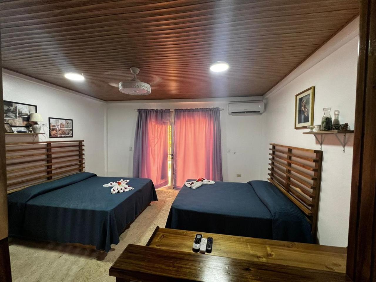 Piergiorgio Palace Hotel Puerto Plata Phòng bức ảnh